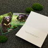 Bear Christmas cards