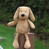 Dog lover bundle